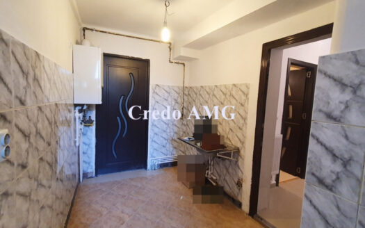 Calea Calarasilor, Piata Sfantul Stefan, apartament vila.