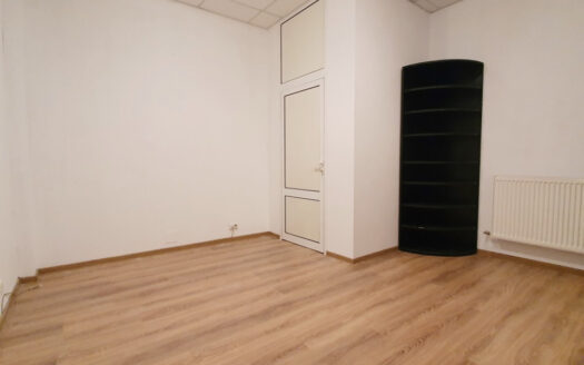 Vilă versatilă Calea Călărașilor – Ideală Birou, Locuință sau Mixte | 353mp