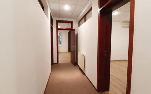 Vilă versatilă Calea Călărașilor – Ideală Birou, Locuință sau Mixte | 353mp