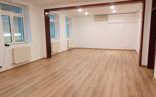 Vilă versatilă Calea Călărașilor, Ideală Birou, Locuință sau Mixte