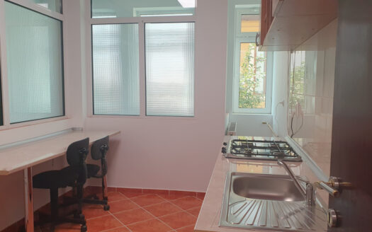 Vilă versatilă Calea Călărașilor, Ideală Birou, Locuință sau Mixte