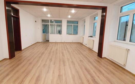 Vilă versatilă Calea Călărașilor – Ideală Birou, Locuință sau Mixte | 353mp