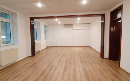 Vilă versatilă Calea Călărașilor, Ideală Birou, Locuință sau Mixte