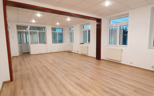 Vilă versatilă Calea Călărașilor, Ideală Birou, Locuință sau Mixte