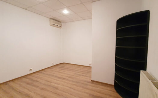 Vilă versatilă Calea Călărașilor, Ideală Birou, Locuință sau Mixte