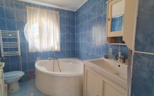 Vilă Individuală P+1+Pod, 5 Camere. Teren 400mp -Titan – Theodor Pallady
