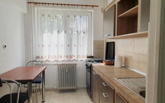 Apartament 2 Camere Titan | Zona Policlinică-Burdujeni-Aproape de Parc & Metrou