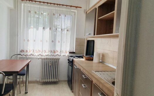 Apartament 2 Camere Titan | Zona Policlinică-Burdujeni-Aproape de Parc & Metrou